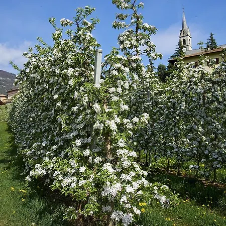 La Casa Del Sole Bed & Breakfast San Michele allʼAdige